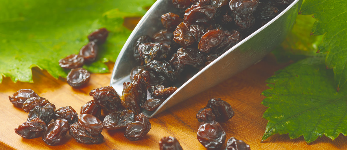 「最高の素材」だけを選定