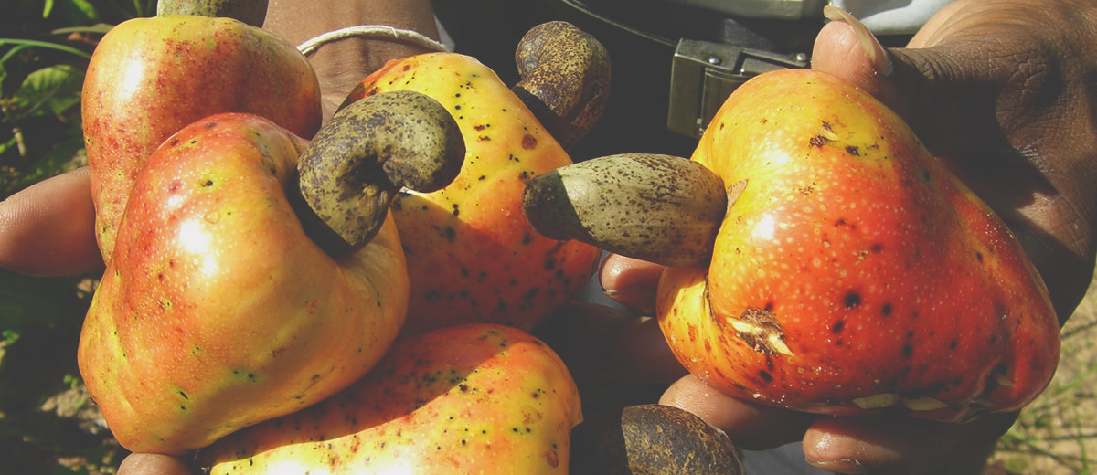 「本当のおいしさ」を届けるこだわり加工