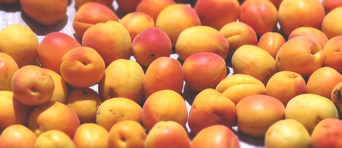 さらなる品質向上を目指して