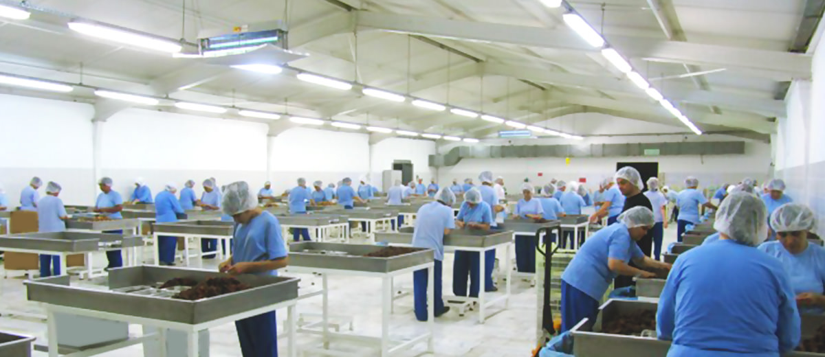 食の安全を実現する取り組み