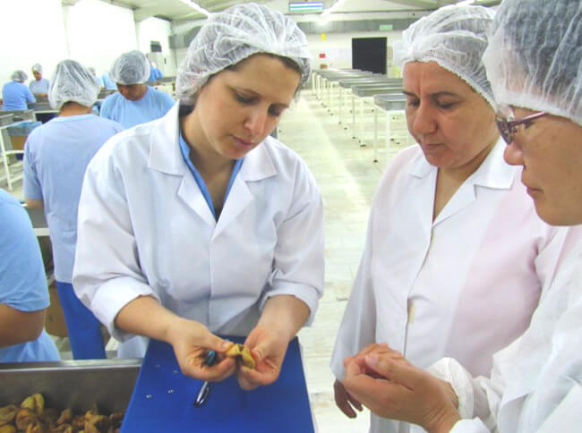 ノヴァの3つのこだわり