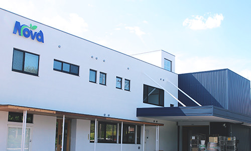 会社概要・関連会社